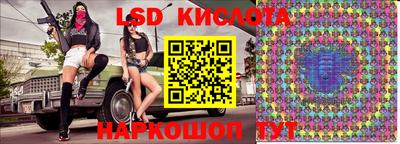 гидропоника Новокубанск