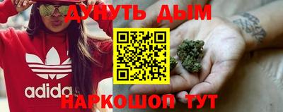 гидропоника Новокубанск