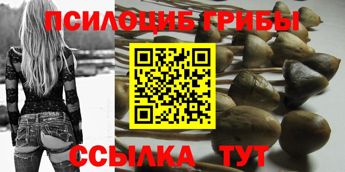 Свободный  Псилоцибиновые грибы ЛСД  Вход с VPN  Галлюциногенные грибы мицелий 