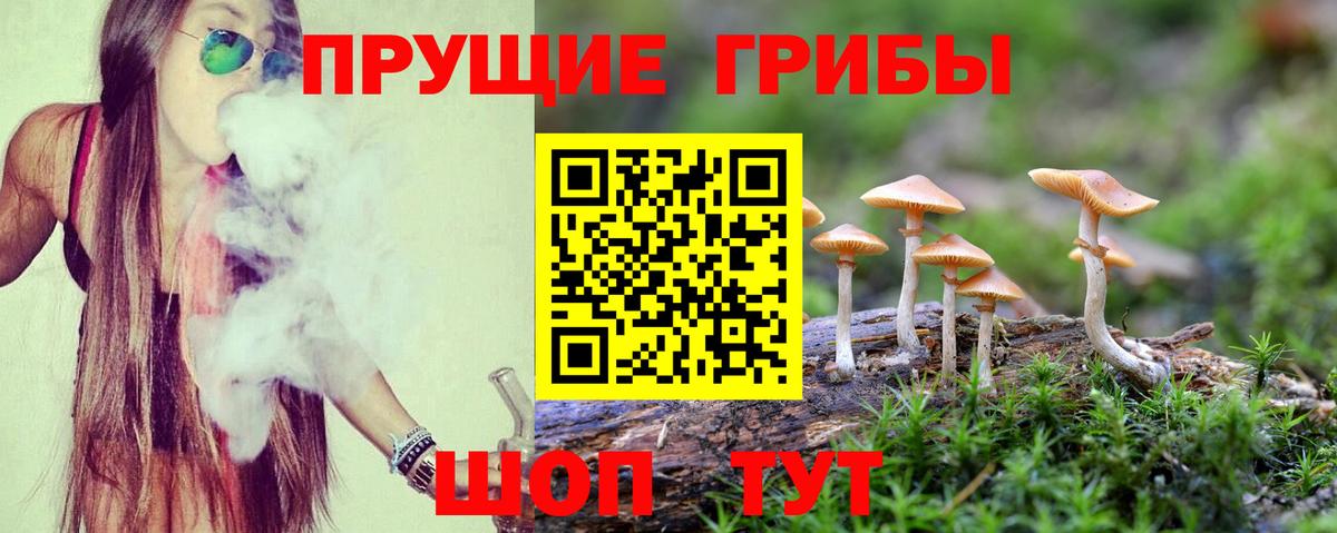 Галлюциногенные грибы прущие грибы Свободный