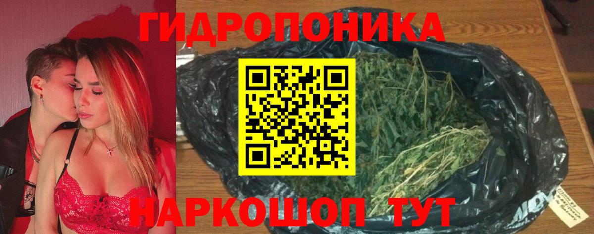 Бошки Шишки Amnesia Свободный